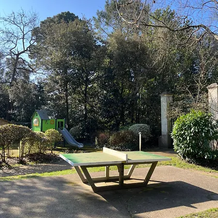 Dans De Standing Lejlighed La Baule